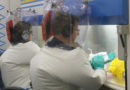 COVID-19: Des scientifiques australiens testent un vaccin