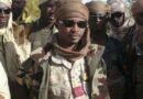Tchad – Le roi est mort, vive le roi ! – Le fils remplace son défunt père