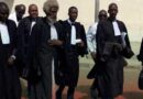 <strong>Sénégal/ Refus à nouveau de la DGE de remettre les fiches de parrainage – Le Collectif des avocats de Sonko menace les hors-la-loi</strong>